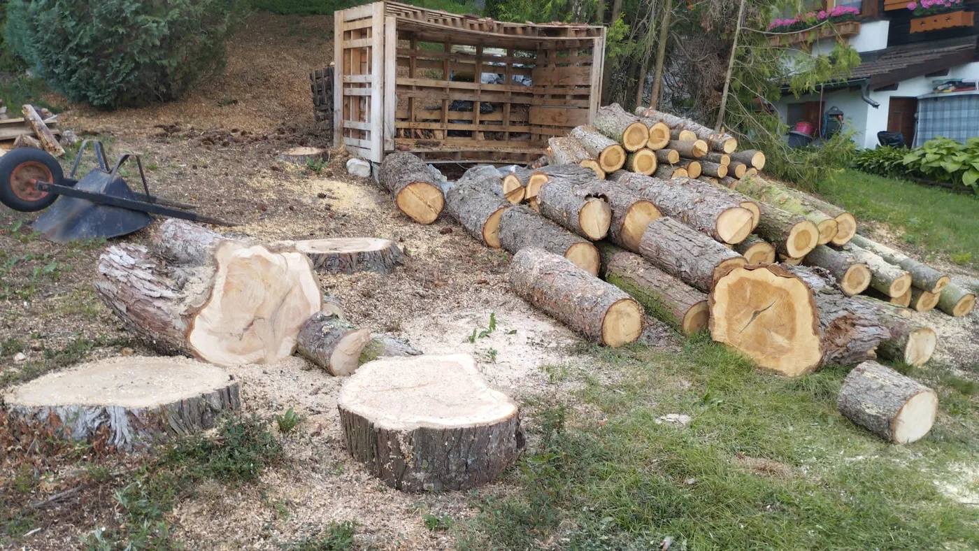 Bois avant et après tronçonnage et fendage — avant